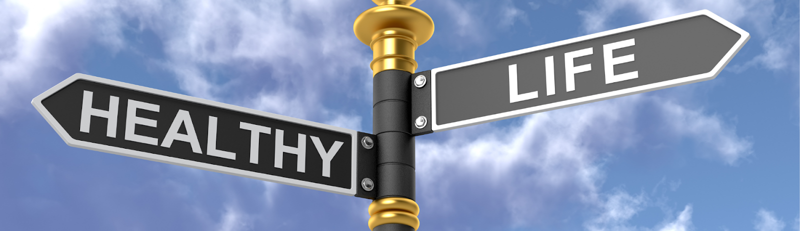 4 Lifestyle Tips to Support Healthy Blood Pressure and Circulatory Health