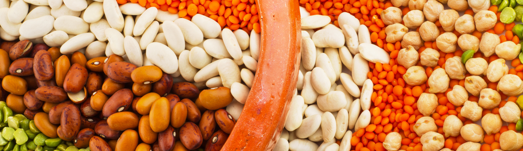 Legumes Can Boost Your Circulatory and Overall Health
