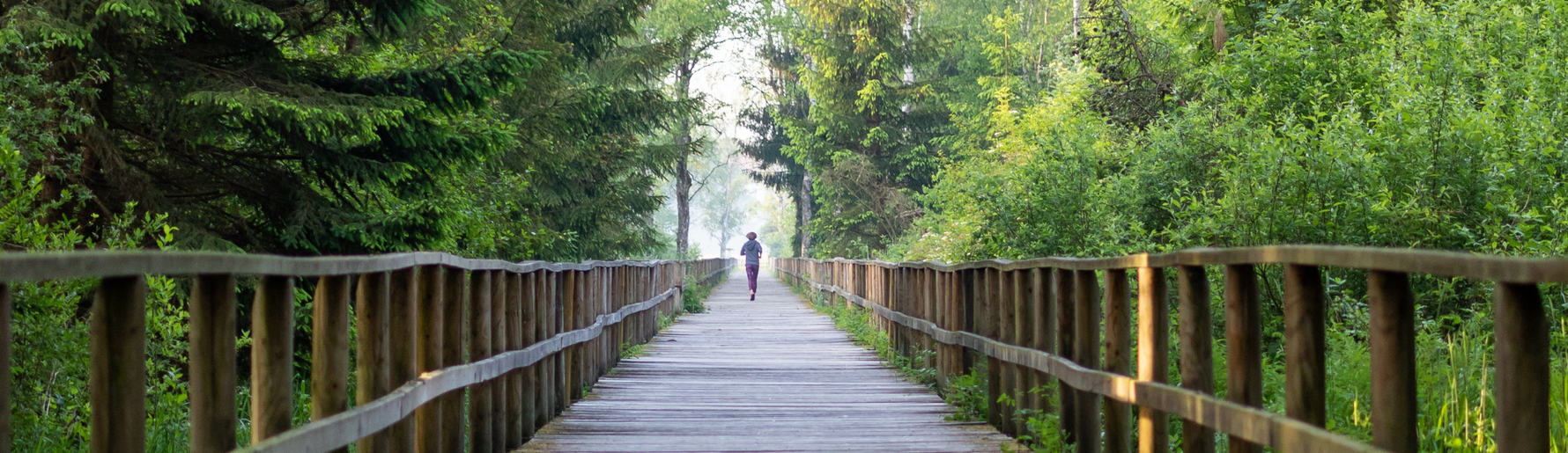Person walking on a wooden pathway surrounded by lush green trees in a peaceful forest setting, symbolizing wellness and proactive health journeys.