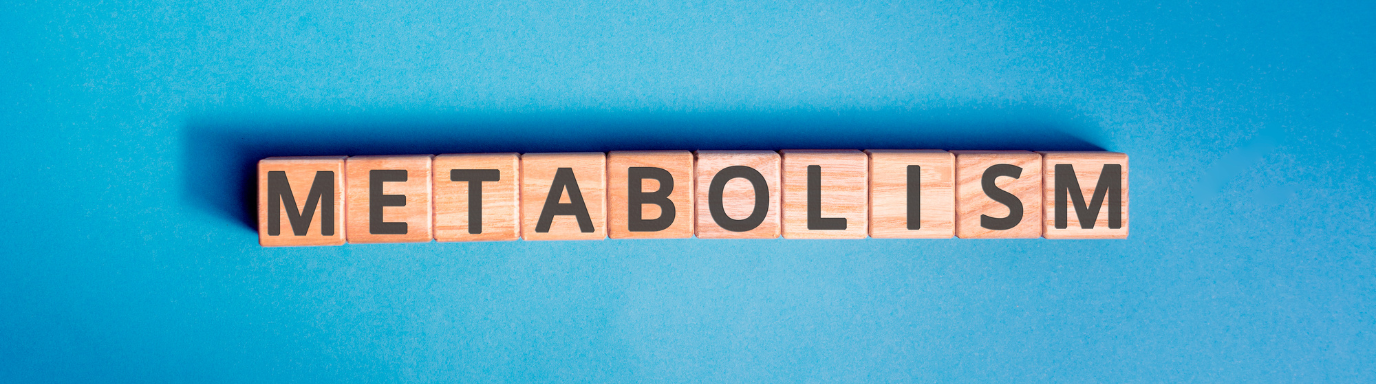 Understanding Your Metabolism